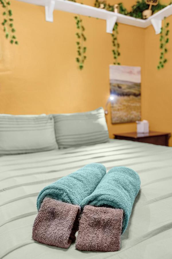 Orlando Oasis! Free Laundry & Parking Near Disney! エクステリア 写真